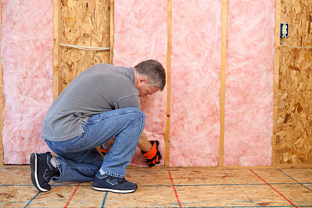 Types of Insulation We Offer in Sansom Park, TX